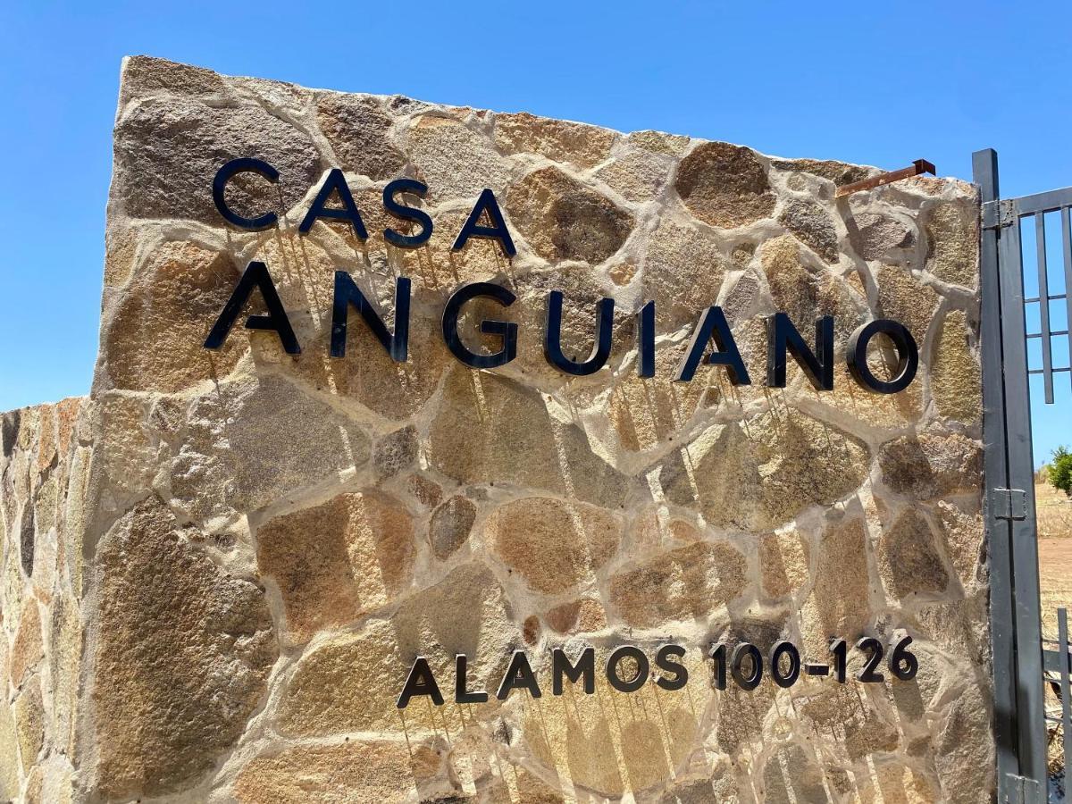 Casa Anguiano Валье-де-Гуадалупе Экстерьер фото